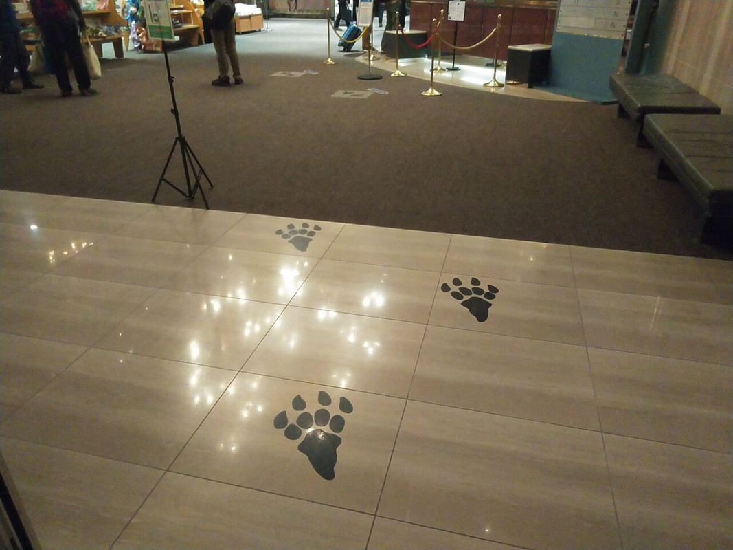 入口の足跡はソーシャルディスタンスかと思いました