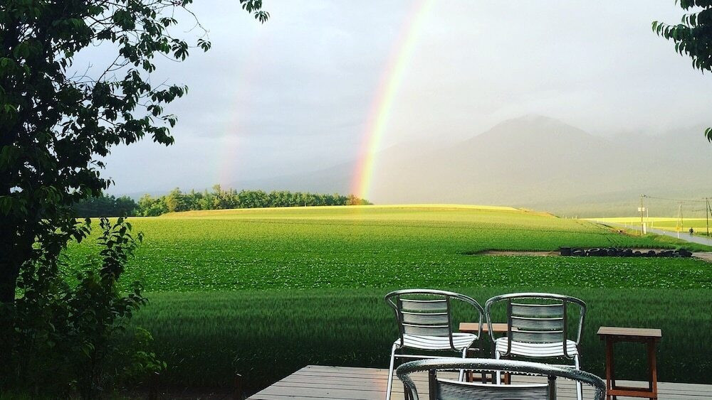 テラス / パティオ