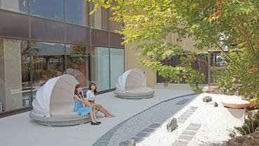 ロビー庭園② / 3