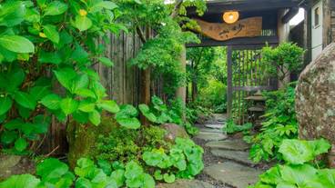 メイン イメージ / 1