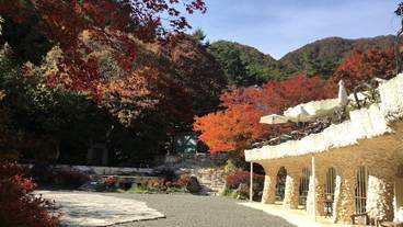 観光スポット / 3