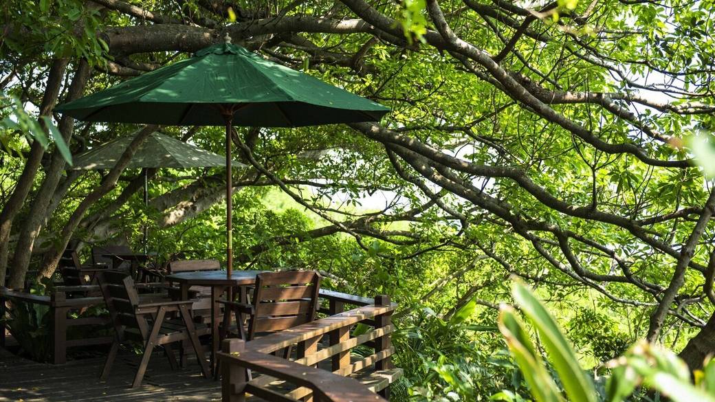 山の茶屋 楽水 テラス席 / 1