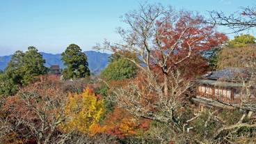 施設内の設備 / 5