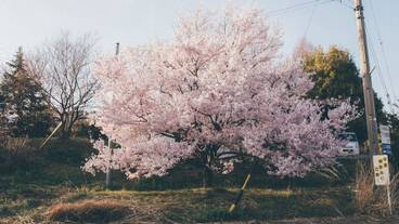 施設の敷地 / 34