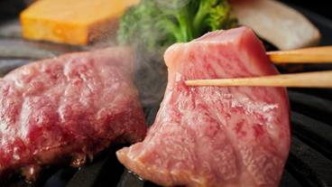 食事・飲み物 / 14