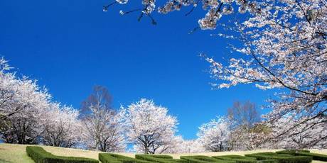 ホテルラフォーレ修善寺