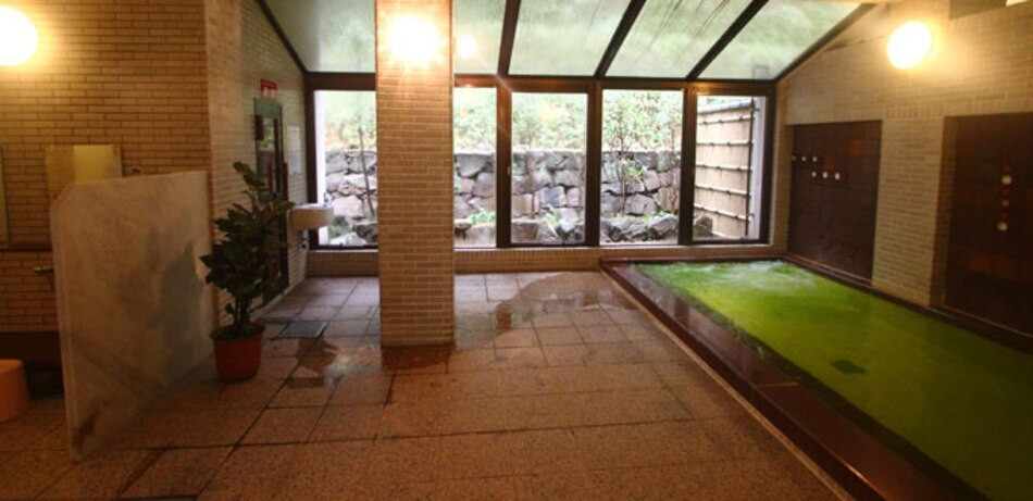 8種類の天然成分が溶け込んだ薬湯で心も体も癒される3706279