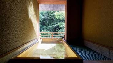 四万温泉 豊島屋（シマオンセン セイリュウカン トシマヤ） / 5