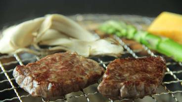 レストラン / 10