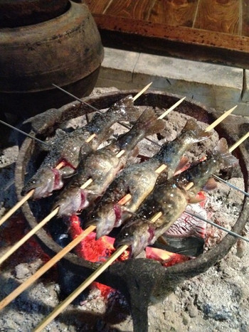 「日登美山荘」 料理 20633844 岩魚の塩焼きを囲炉裏で