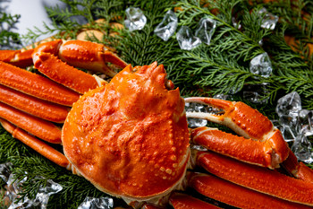 Crab high-end black background