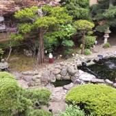 湯の川 純和風旅館 一乃松（北海道 旅館） / 3