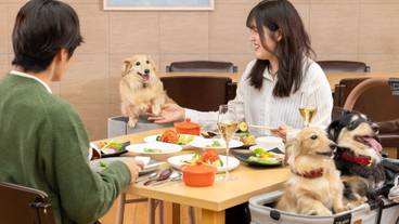 食事・飲み物 / 10