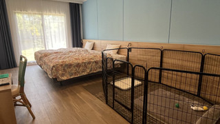 ドッグルーム 禁煙