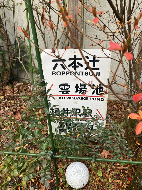 hrk_shinwaさんの写真 / 2