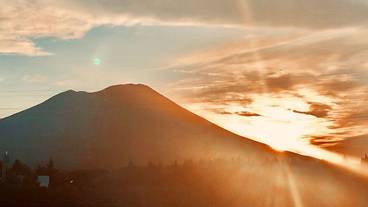 施設の敷地 / 33