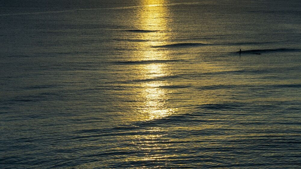 施設からの眺望