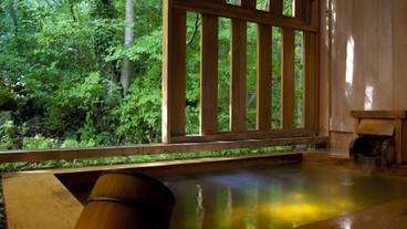 強羅温泉 強羅花扇（ゴウランオンセン ゴウラハナオウギ） / 6