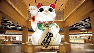 観光スポット / 6