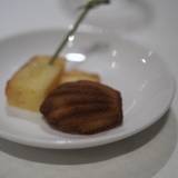 ジョンティ アッシュ（ジョンティアッシュ）