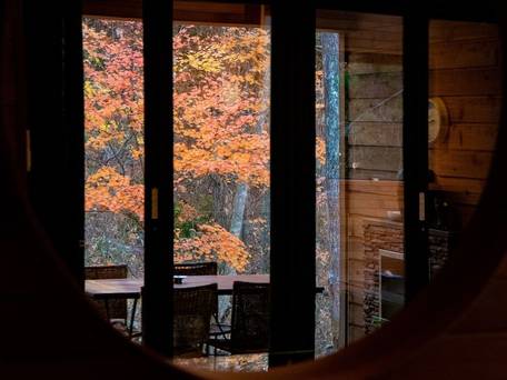 フェニックス シャレー / 5