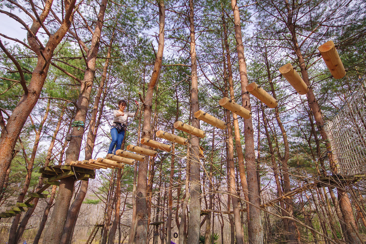 気分はターザン!スリル満点の「ツリートレッキング」3524772