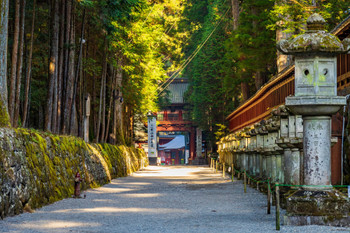 Nikko Toshogu Shrine in autumn, a component part of the World Heritage Site "Shrines and Temples of Nikko" Kamishindo