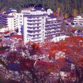 山陰湯村温泉 朝野家（兵庫県 旅館） / 3