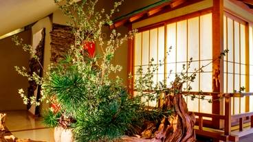 館内に飾られている生け花① / 1