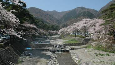 観光スポット / 2