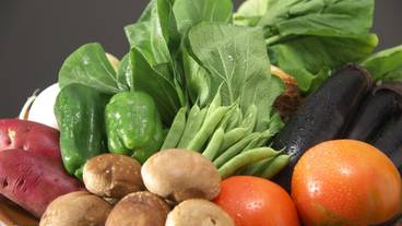 食事・飲み物 / 10