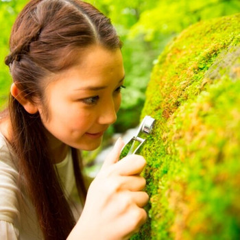 神秘的な”苔”の世界にハマる女子多数！「苔ガールステイ」3638486