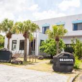 シーダイブ ドミトリー(東京都 ゲストハウス・ホステル・ドミトリー) / 3