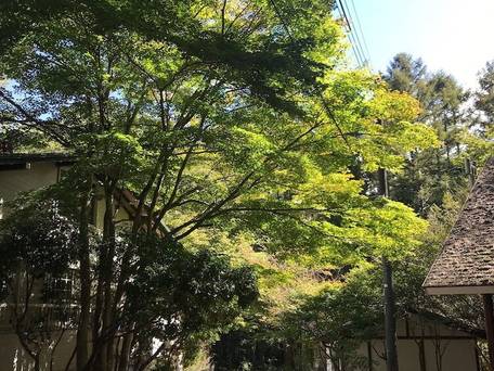 パセオリゾートクラブ河口湖（旧：パセオ河口湖ラケットクラブ） / 4