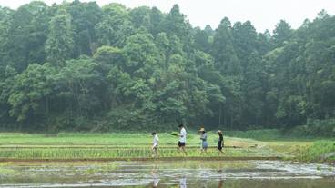子供向けアクティビティ / 13