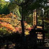 もみぢ家別館 川の庵(京都府 旅館) / 4
