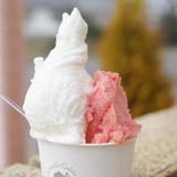 ホーム オブ マザーズ（ホームオブマザーズ）