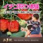 【平日限定☆イチゴ狩り体験】真っ赤なイチゴと淡路の食材食べ尽くし♪【夕食・朝食：お食事処】  | 淡路島洲本温泉 海月舘