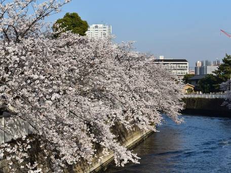 京急EXイン 品川・新馬場駅北口 / 4