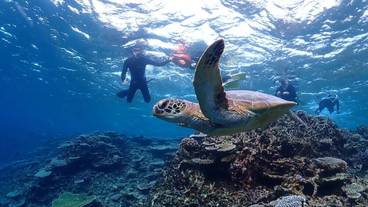 子供向けアクティビティ / 4