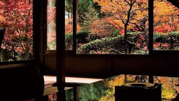 リビング エリア / 39