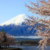 ガストホフ メラージ（山梨県 ペンション） / 4
