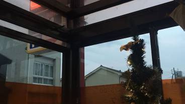 施設の正面 (日没後) / 1