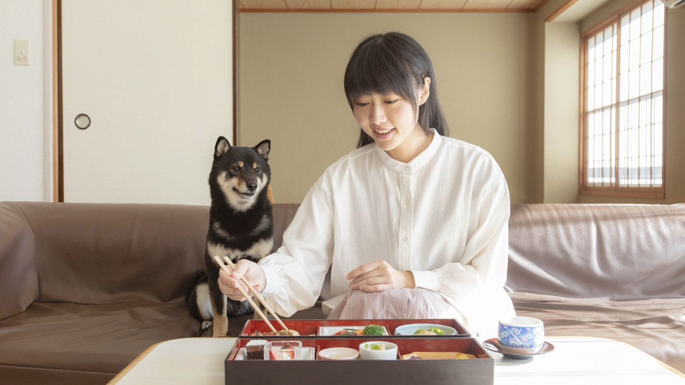 「ドッグコテージ」がワンコOKルーム3925860