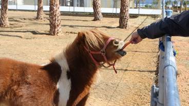 施設の敷地 / 23