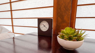 スタジオアパートメント バルコニー付 (201)