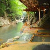 塩原温泉 明賀屋（みょうがや）本館（栃木県 旅館） / 3