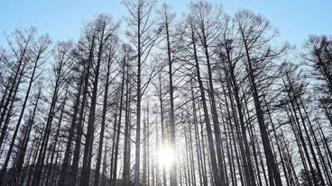 施設からの眺望 / 37