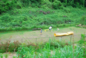 「たんぽぽの庭」その他 1090787 ドッグラン
