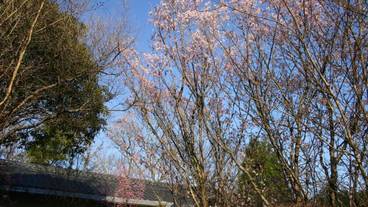 施設の敷地 / 19